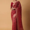 Red banarasi saree